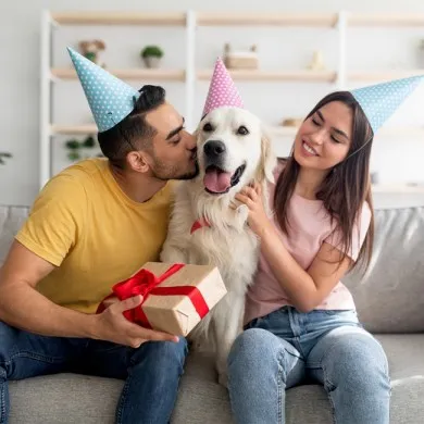 The 7 Best Dog Hats of 2023