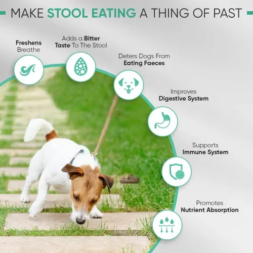 Tablets to stop hot sale dogs eating poop