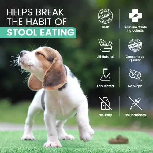 Essential pet hotsell stool eating deterrent