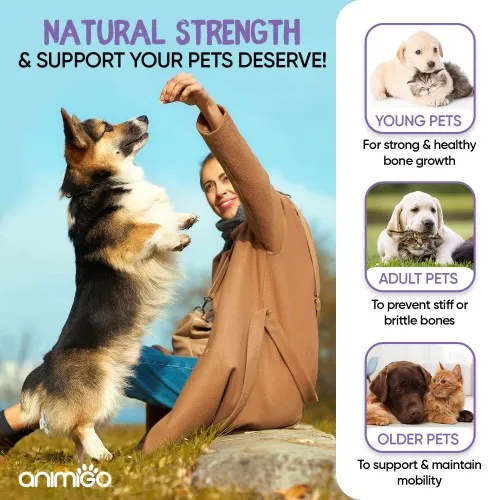 Glucosamine and chondroitin supplements for outlet dogs