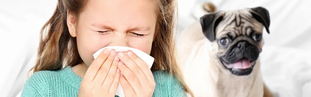 Are Allergies Hereditary?