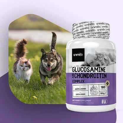 Glucosamine-&-Chondroitin-02-uk.webp