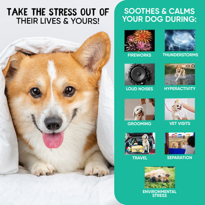 Calming Aid for Dogs