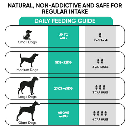 Calming Aid for Dogs