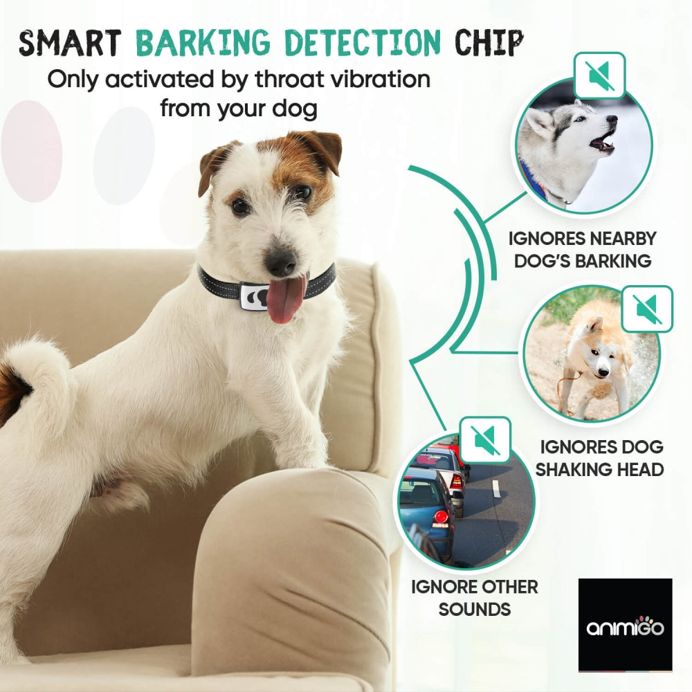 anti-bark-collar-uk-06.jpg