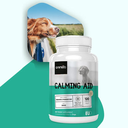 calming-aid-for-dogs-uk--2.webp