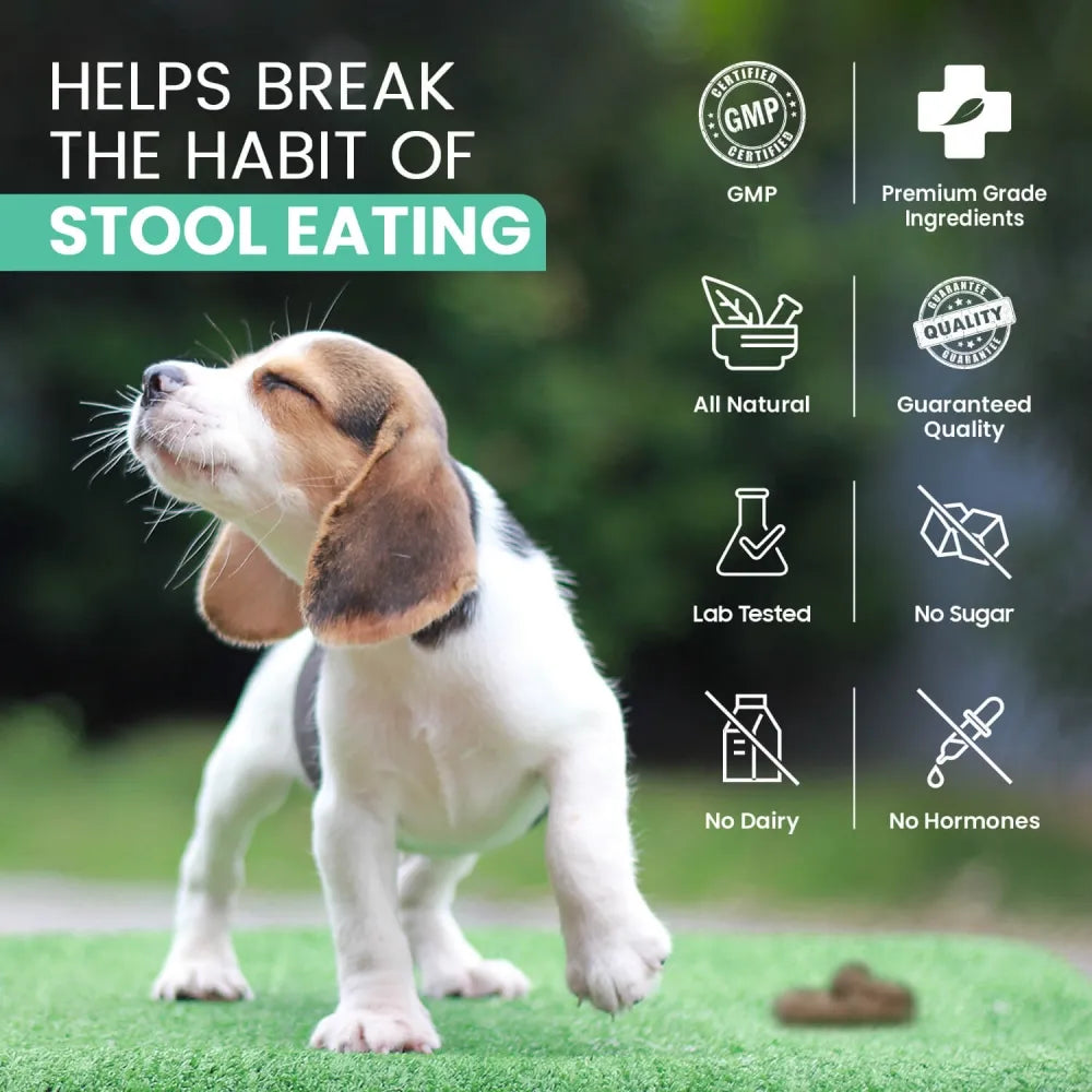 coprophagia-stool-eating-deterrent-uk--05.webp