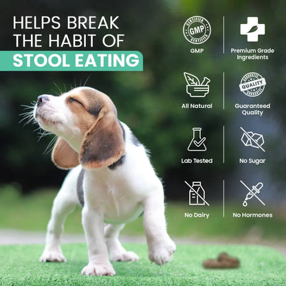 coprophagia-stool-eating-deterrent-uk--05.webp