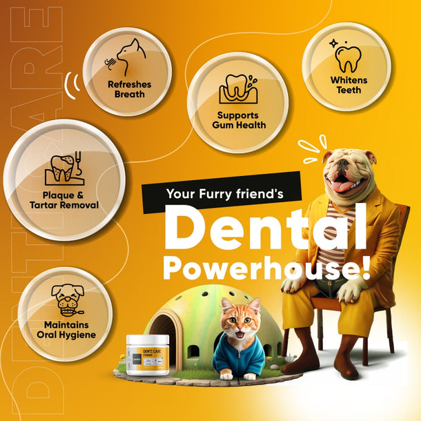 denti-care-180-powder-uk-5.jpg