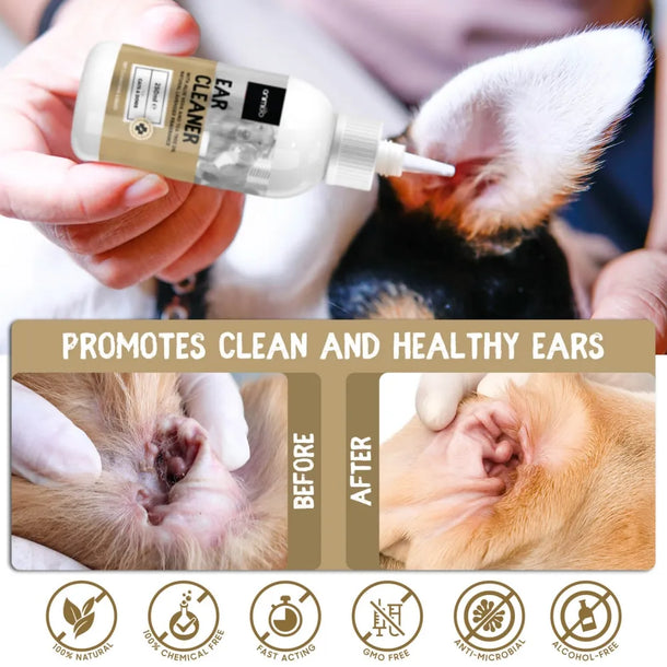 ear-cleaner-uk-04.webp