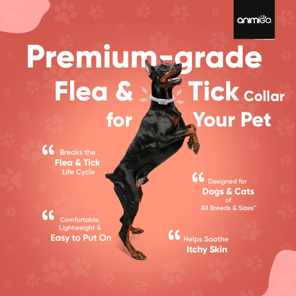 Flea Tick Collar Anti Flea Tick Collar For Cats Dogs Animigo Animigo UK