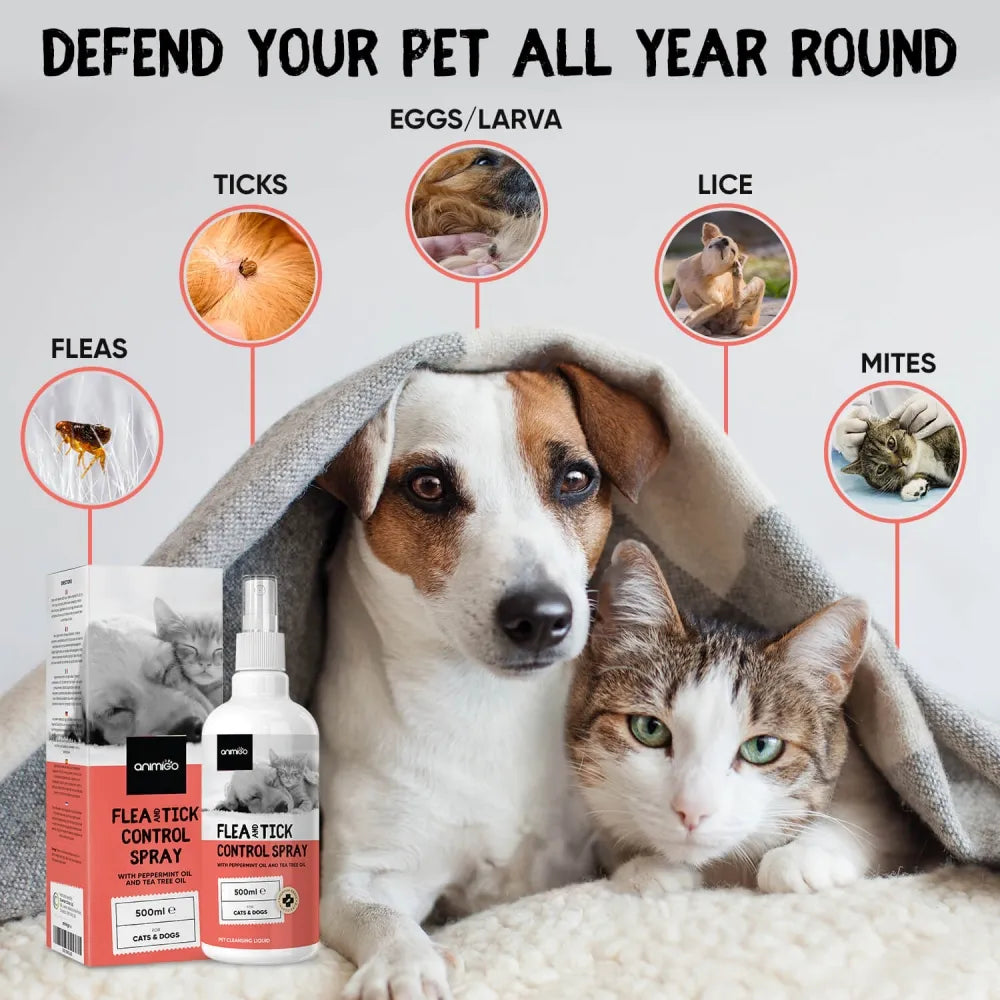 Professional flea and tick treatment best sale