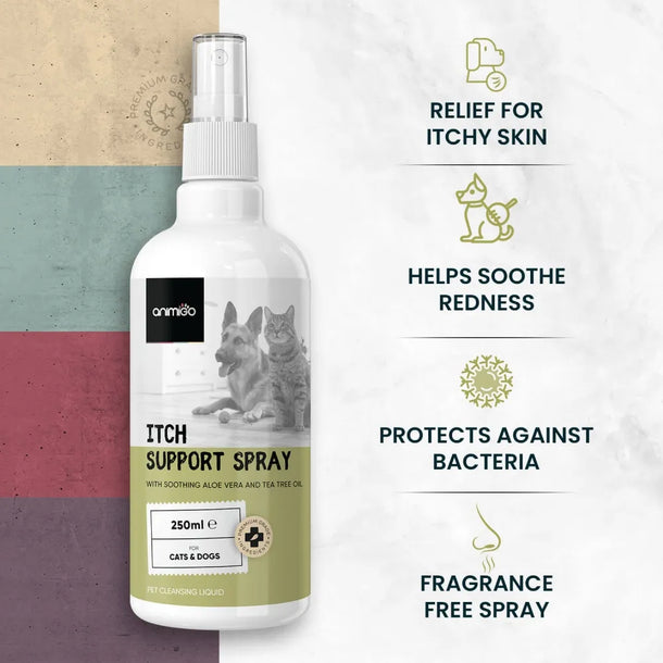 itch-support-spray-uk-03.webp