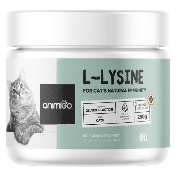 l-lysine-powder-uk-front.jpg