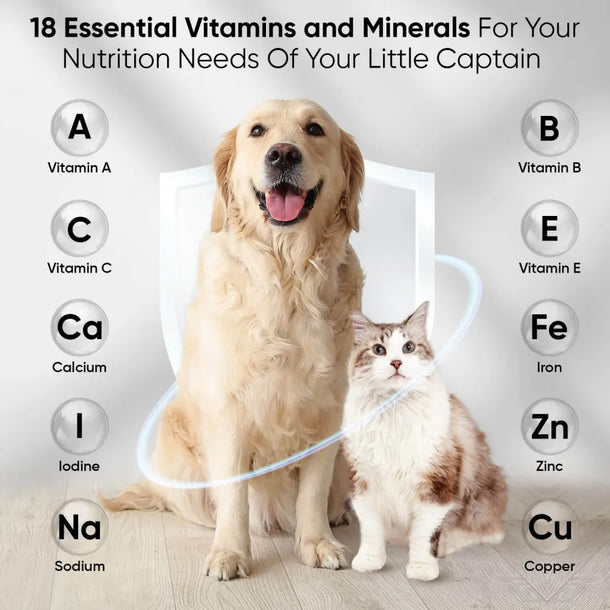 multivitamins-and-minerals-for-dogs-cat-uk-03.webp