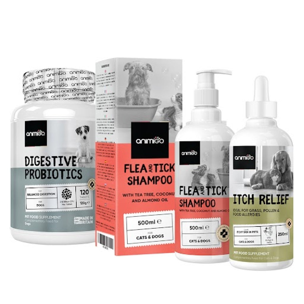 Skin & Coat For Dogs Solutions To Groom Your Dog's Fur Animigo UK