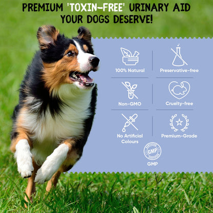 urinary-aid-dogs-120-caps-uk-4.jpg